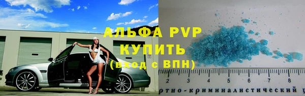 шишки Аркадак