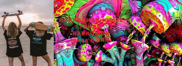 шишки Аркадак