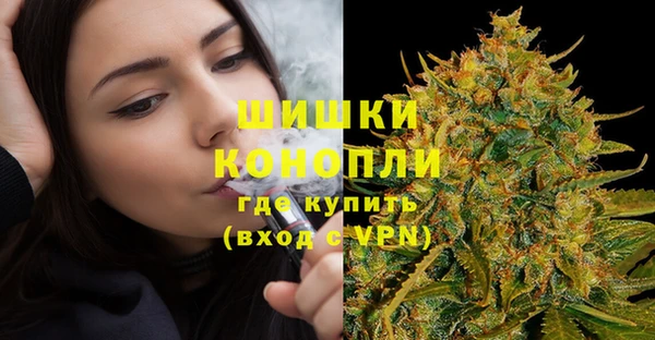 шишки Аркадак