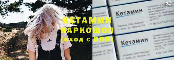 шишки Аркадак